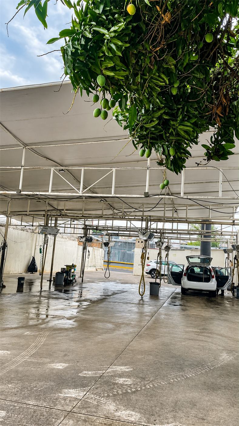 Instalaciones de Alpha Car Wash Calzada 2