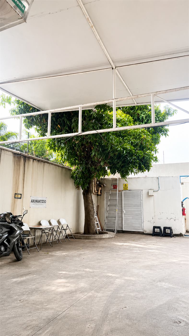 Instalaciones de Alpha Car Wash Calzada 7
