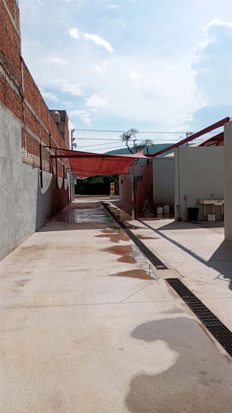 Instalaciones de Alpha Car Wash Irapuato 10